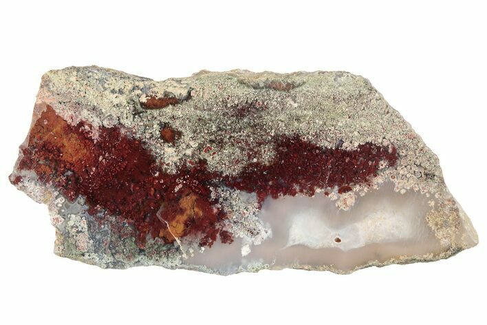 Polished Colorful Plume Agate Slab - Java, Indonesia #271501